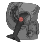 Lovetoy Anal Prostat Vibratör - Silicone Prostate Stud - Görsel 4