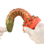 Monster Cock Scylla - Silicone Realistic Animal Dragonhead-Snake Dildo Silikon Gerçekçi Doku Yılan Yapay Penis - Görsel 2
