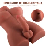 PTM Grayson - Anal Girişli 16 CM Yapay Penis Erkek Zenci Realistik Manken Yarım Vücut Dildo - Görsel 4