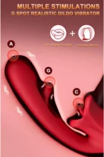 Şarjlı Klitoris G Nokta Uyarıcı Çırpma ve Dil Dudak Hareketli Güçlü Titreşimli 2 in 1 Oral Vibratör - Görsel 2